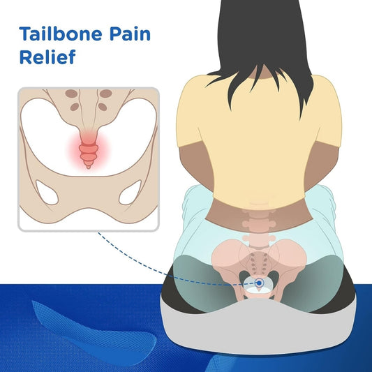 Pernă Ortopedică din Spumă cu Memorie - Coccyx PLUS - BackMed