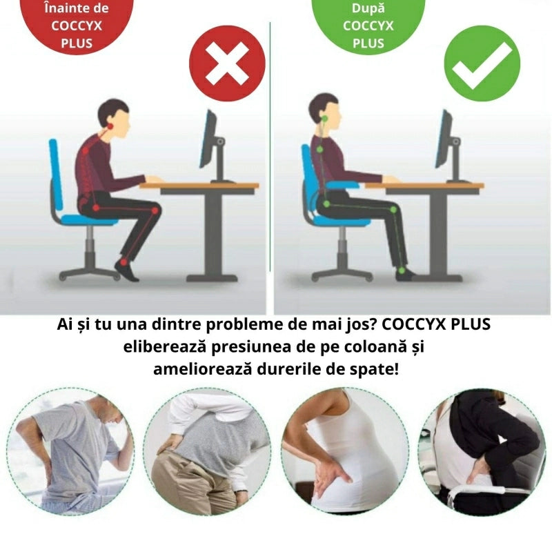 Pernă Ortopedică din Spumă cu Memorie - Coccyx PLUS - BackMed
