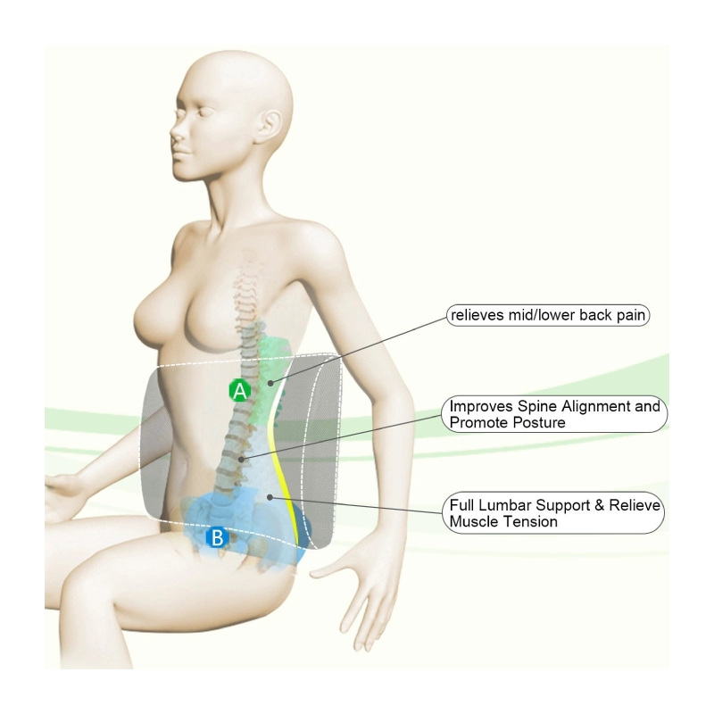 Pernă Ortopedică pentru Suport Lombar din spumă cu Memorie - BACKMED - BCKMD-1