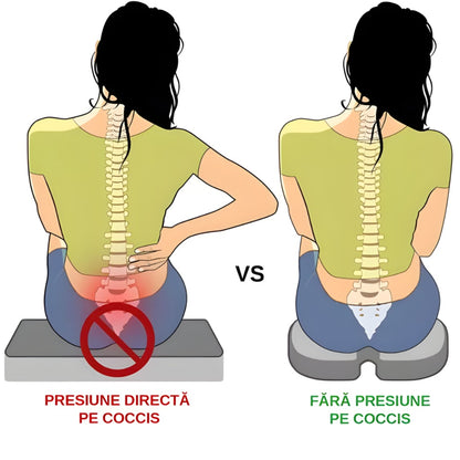 Perna Ortopedică din spumă cu memorie - Coccyx - BACKMED