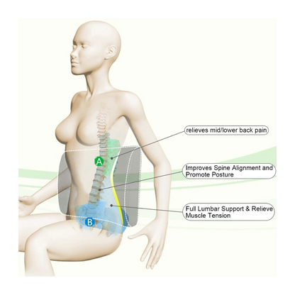 Pernă Ortopedică pentru Suport Lombar din spumă cu Memorie - BACKMED - BCKMD-1